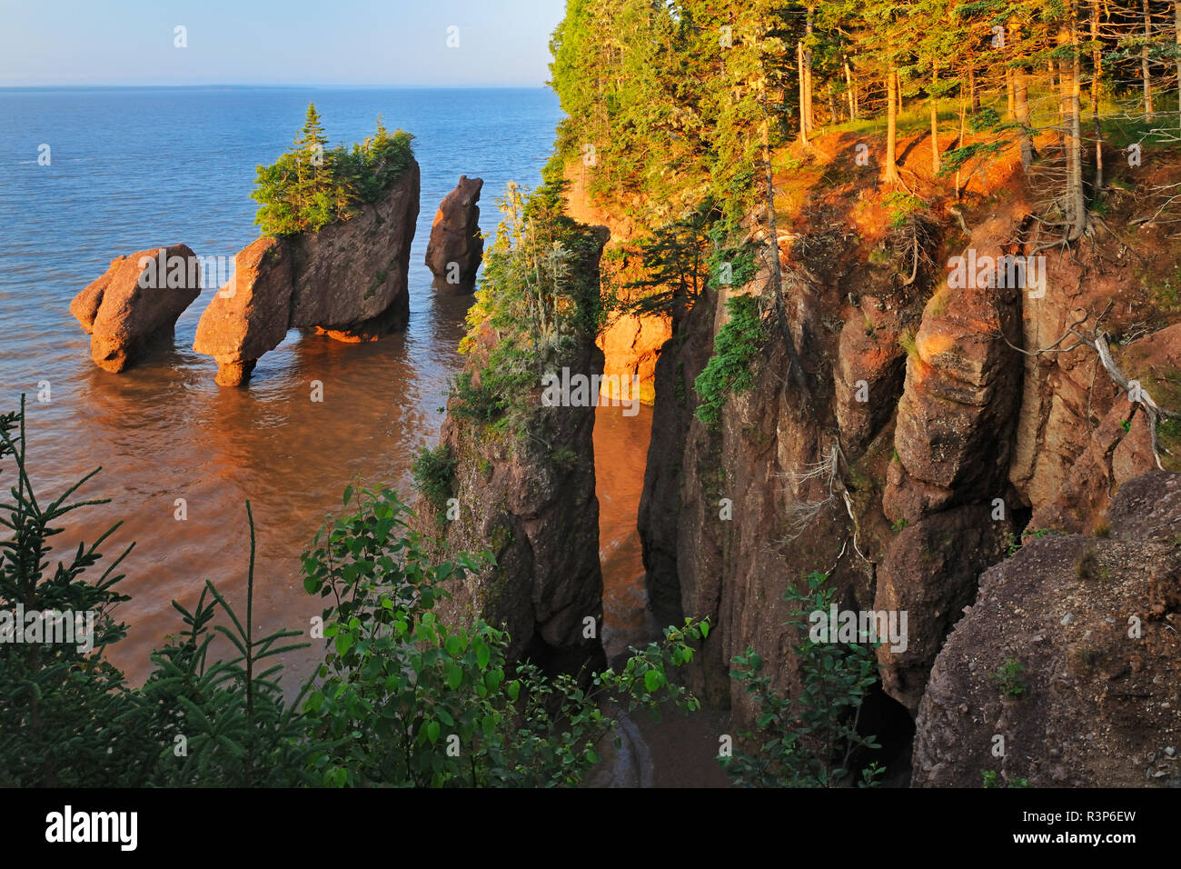 Canada, Nouveau-Brunswick, les Rocks Provincial Park. Les rochers de Hopewell Cape au lever du soleil, à marée basse. Banque D'Images Canada, Nouveau-Brunswick, les Rocks Provincial Park. Les rochers de Hopewell Cape au lever du soleil, à marée basse. Banque D'Images