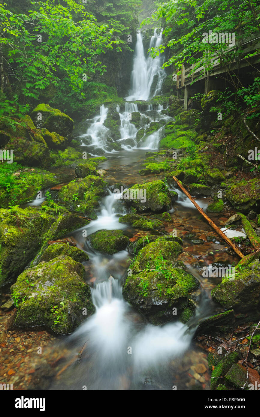 Canada, Nouveau-Brunswick, le parc national Fundy. Cascade cascade du ruisseau Dickson. Banque D'Images Canada, Nouveau-Brunswick, le parc national Fundy. Cascade cascade du ruisseau Dickson. Banque D'Images