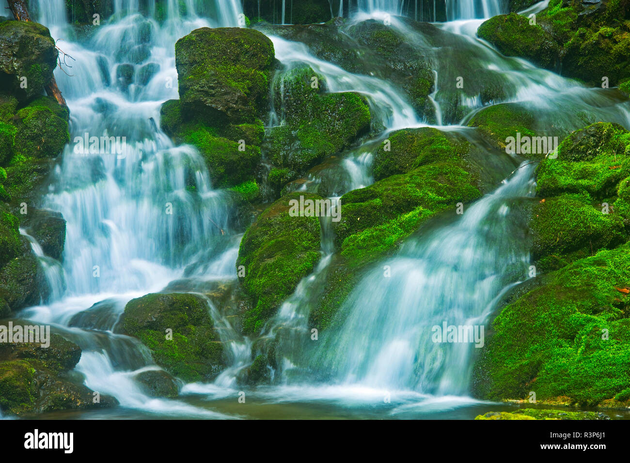 Canada, Nouveau-Brunswick, le parc national Fundy. Cascade du ruisseau Dickson. Banque D'Images Canada, Nouveau-Brunswick, le parc national Fundy. Cascade du ruisseau Dickson. Banque D'Images