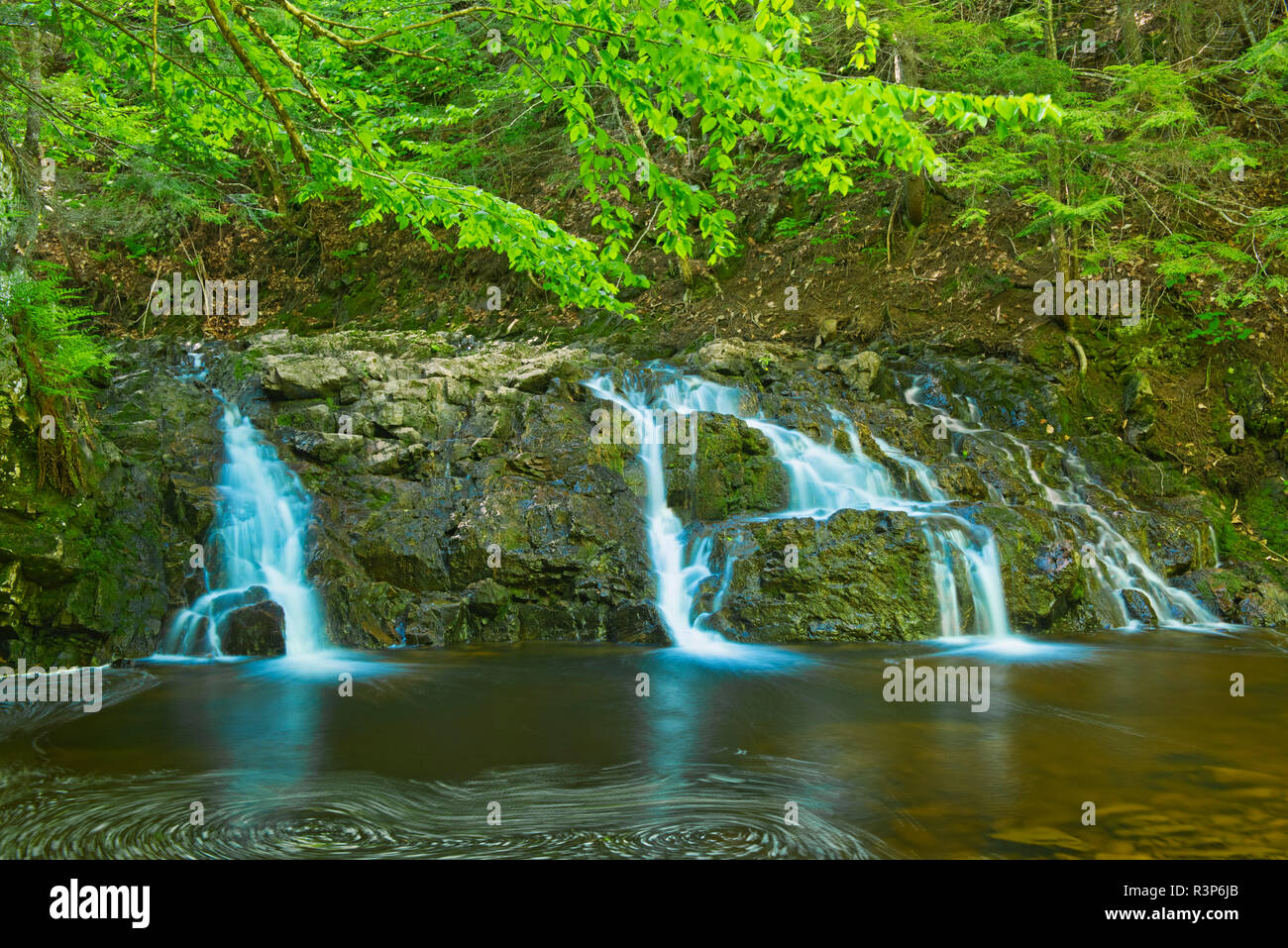 Canada, Nouveau-Brunswick. McQuade Brook à Melanson Falls. Banque D'Images Canada, Nouveau-Brunswick. McQuade Brook à Melanson Falls. Banque D'Images