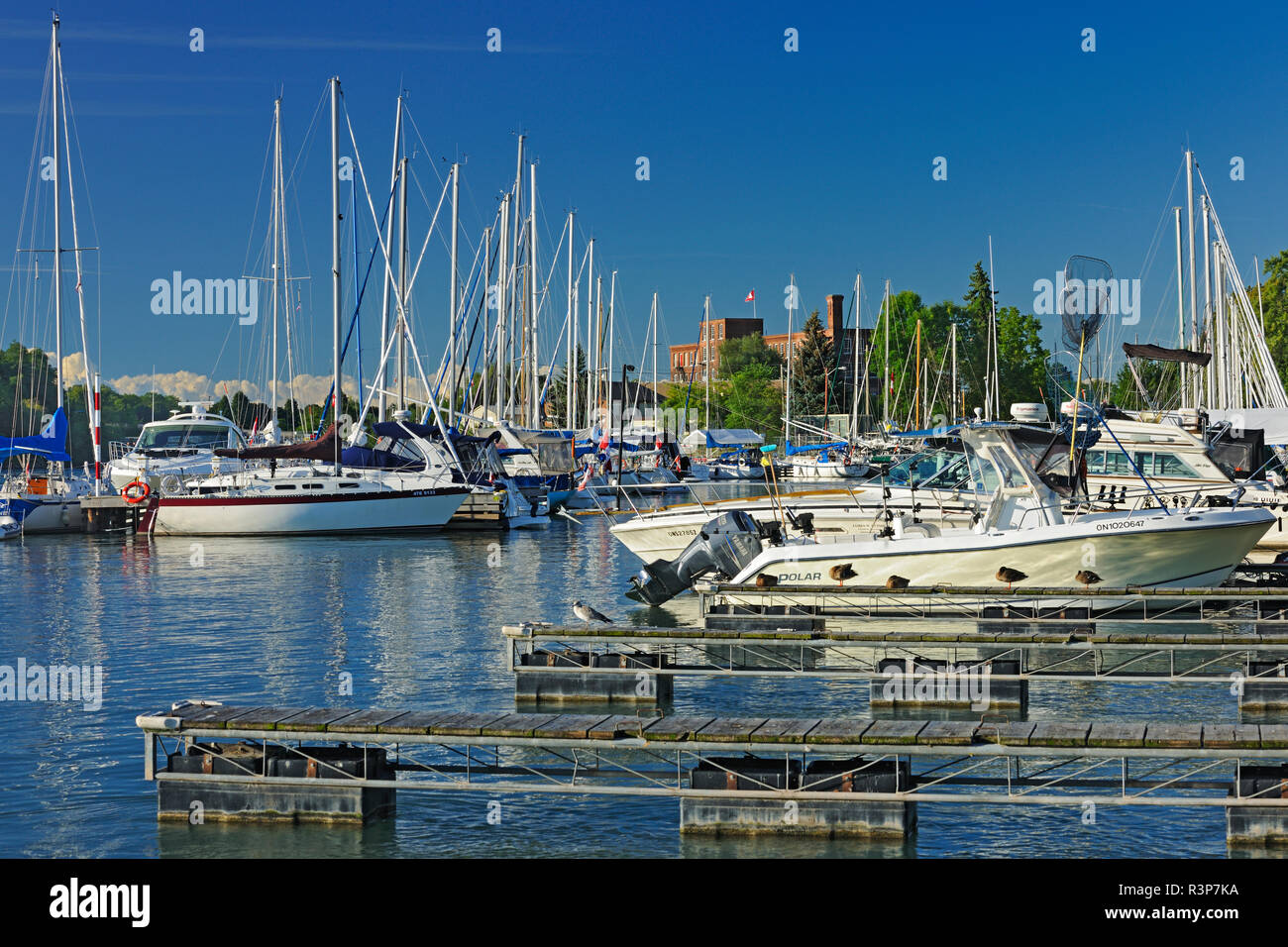 Le Canada, l'Ontario, St. Voiliers à la marina de Port Dalhousie. Banque D'Images