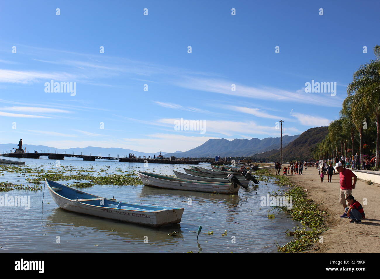 Foto tomada a la orilla del lago de Chapala-Jalisco-Mexique en donde se,  Chambers Harrap , Wordreference un aumônier de l'ONU y su hijo observando  el Lago desde la playa Photo Stock -