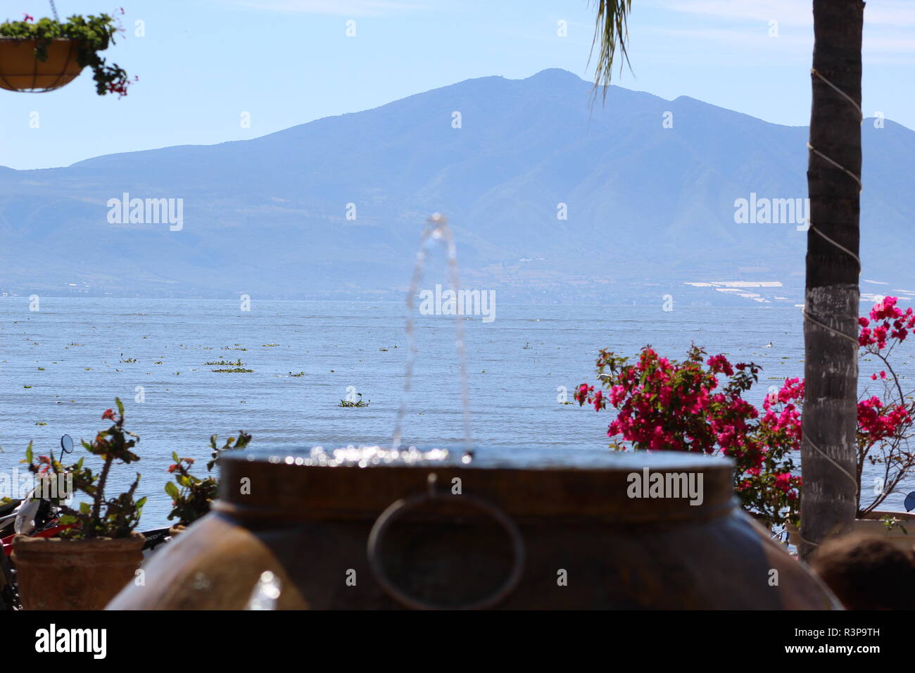 Fuente de vasija en Chapala, Jalisco, Mexique foto tomada un medio dia en la que aparece en primer plano la fuente, en segundo plano unas flores Banque D'Images