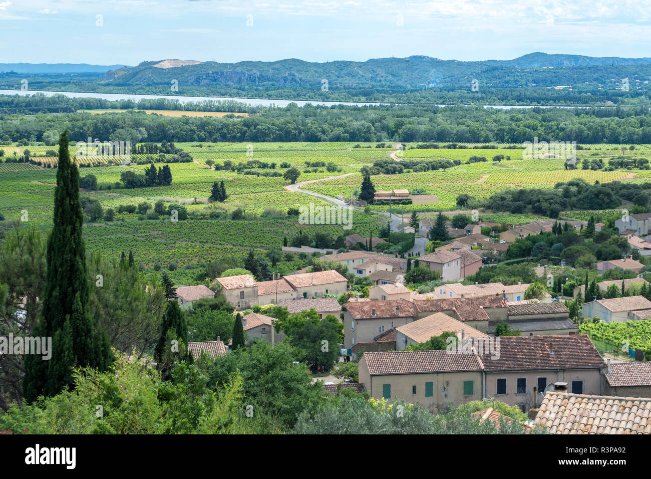 Vallée du Rhône, Châteauneuf-du-Pape, France Banque D'Images