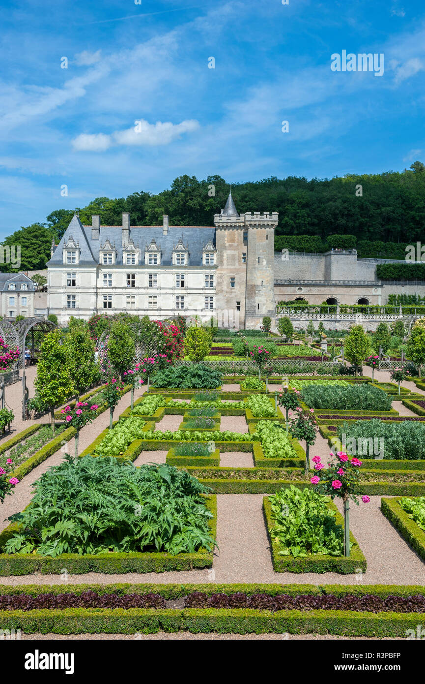 Cuisine jardin, le château de Villandry, vallée de la Loire, France Banque D'Images