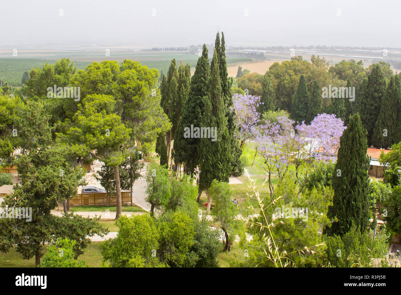 La fertile vallée de Jizreel prises à partir de l'historique tel Megiddo en basse Galilée Israël. Ce site de nombreuses anciennes batailles sera le site de la p Banque D'Images