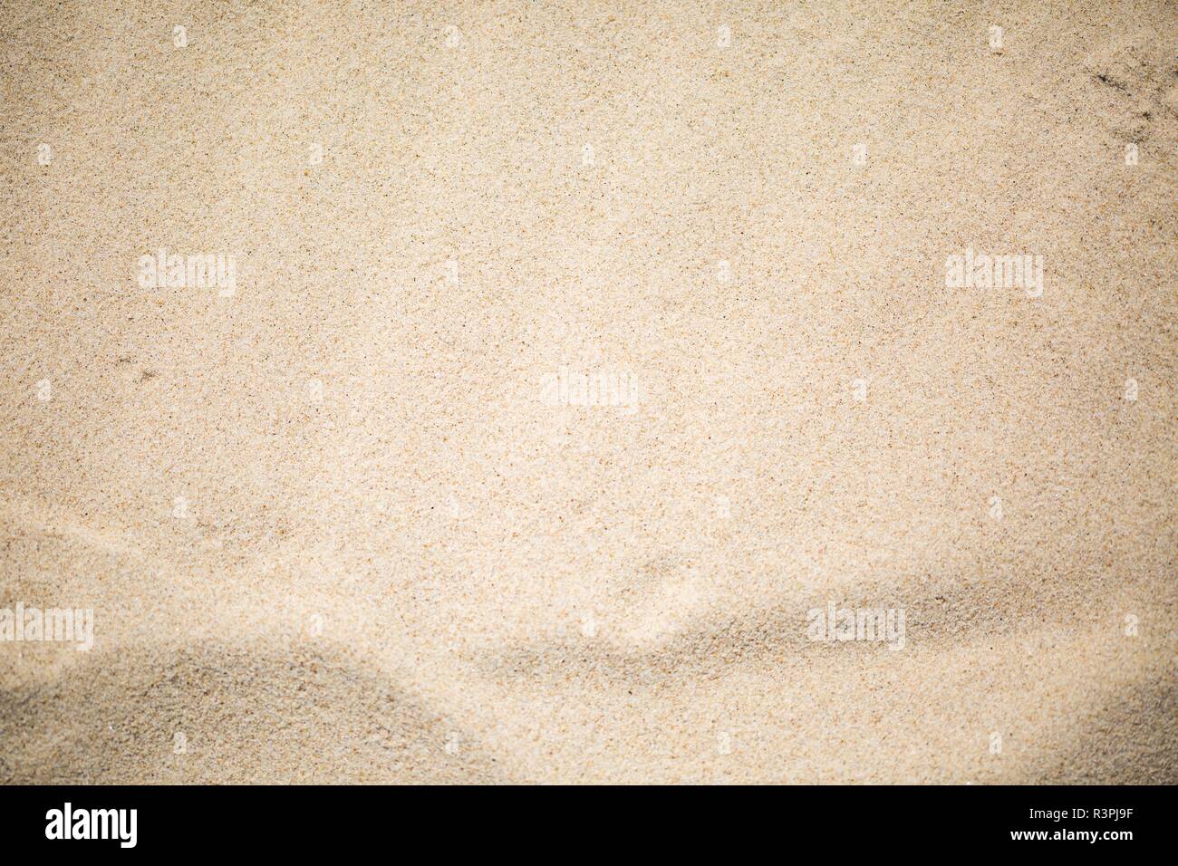 Close up de mer de sable. Structure de sable éclairée par de fortes soleil d'été. Banque D'Images
