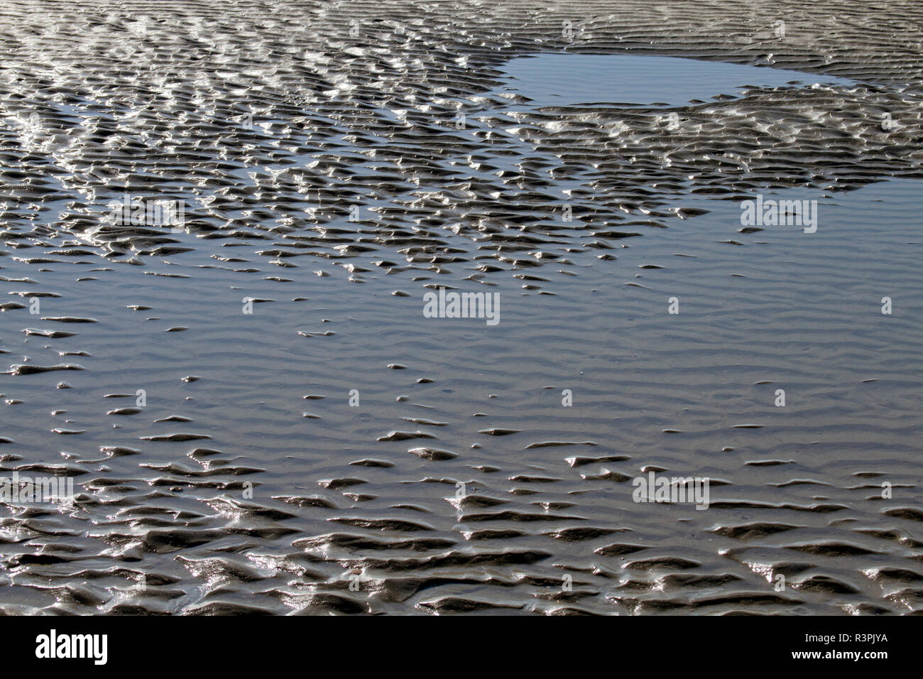 Un scenic, peu profonde, la marée de la mer avec piscine ripples textured par la lumière ; marée tidepool, de l'eau ; la mer océan plage ; ; ; ; marée marée basse ; sable ; textu Banque D'Images