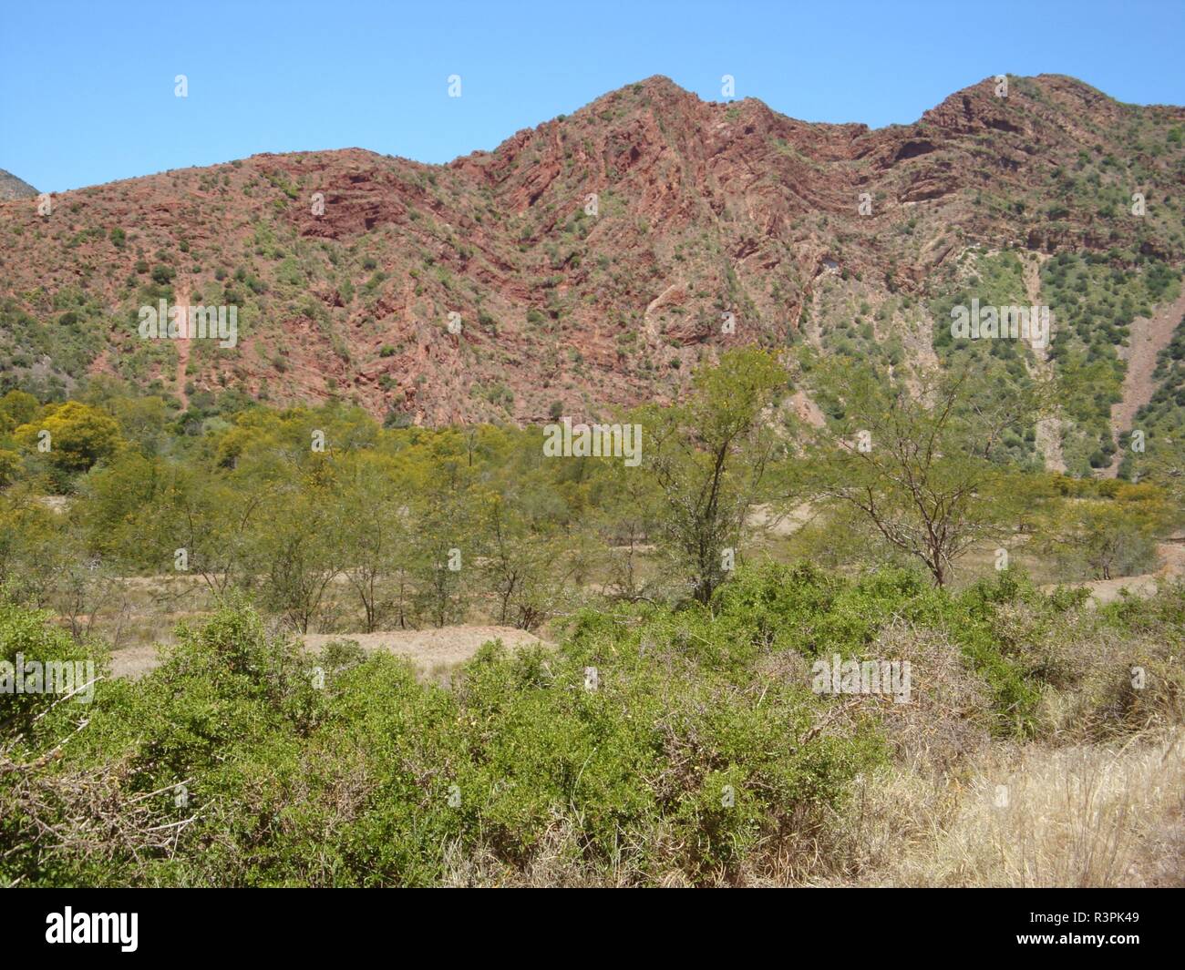 Baviaanskloof, afrique du sud Banque D'Images