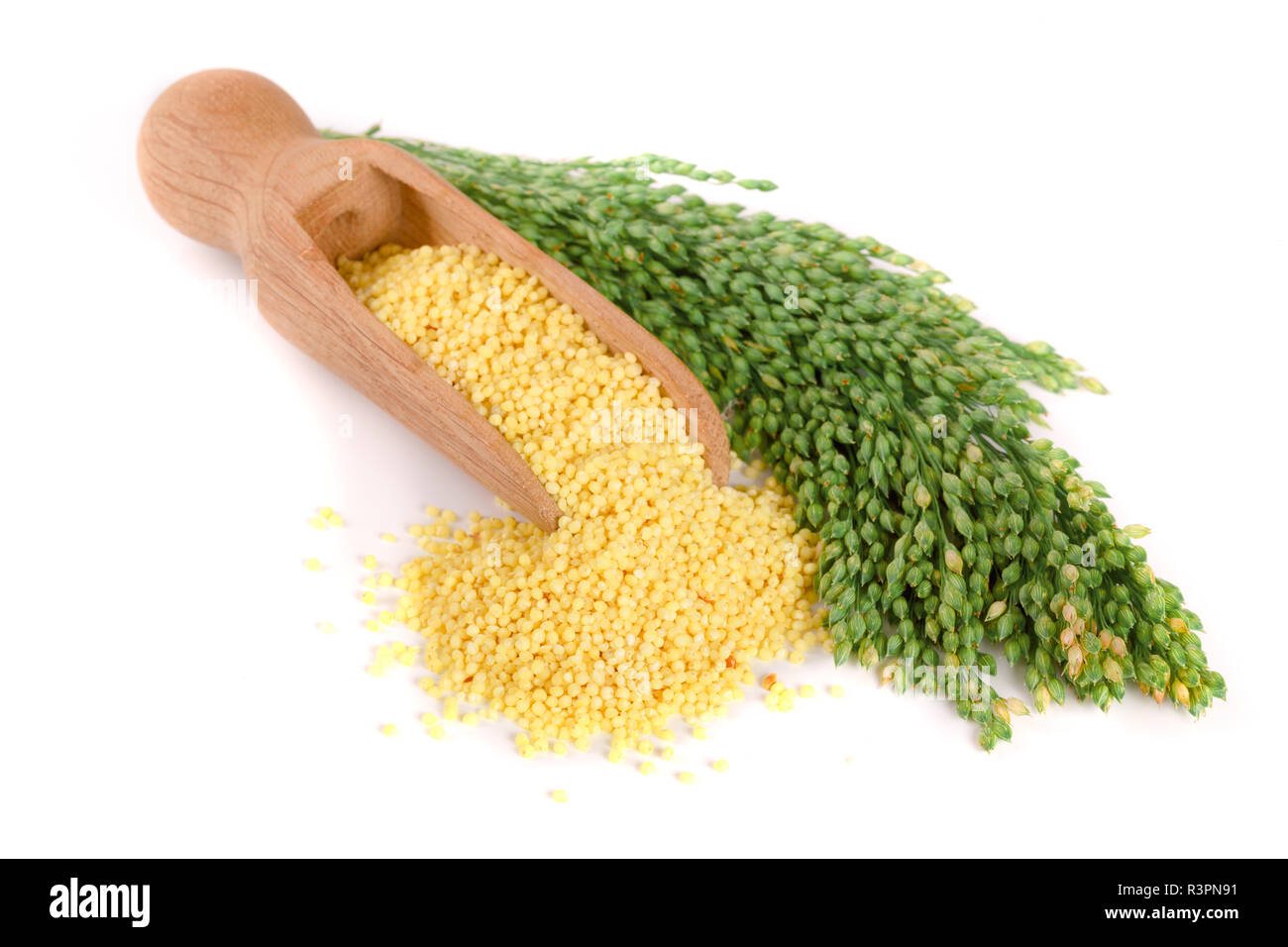 Millet dans scoop en bois avec des épillets vert isolé sur fond blanc Banque D'Images