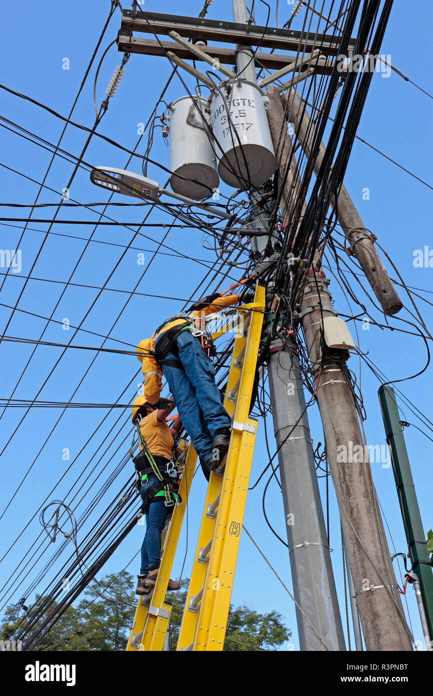 Deux installations de distribution d'électricité les travailleurs, un homme et une femme, portant des échelles, des harnais, remplacement d'un poteau télégraphique en bois avec un bras en acier sur Banque D'Images
