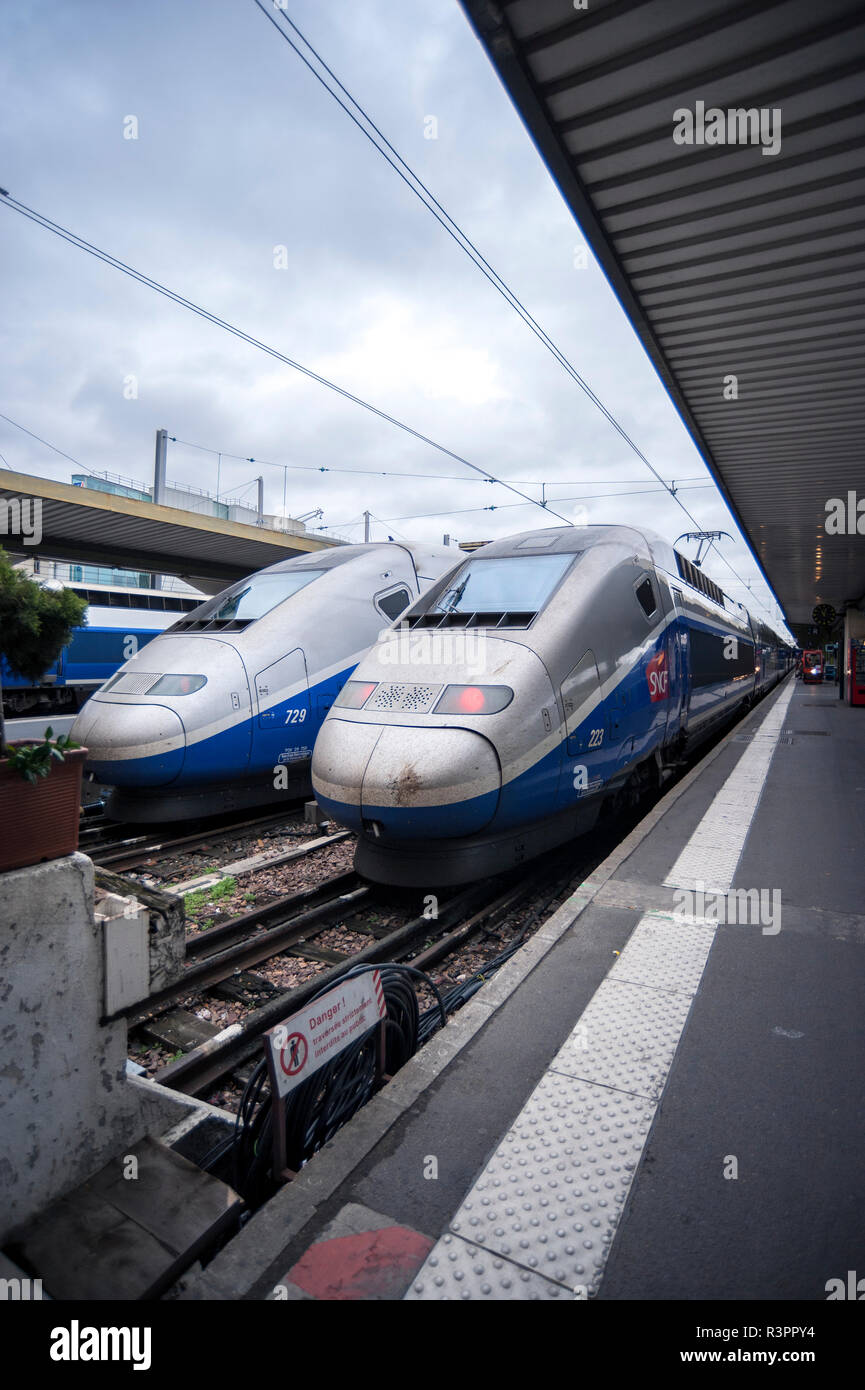 TGV, Gare de Lyon, Paris, France Banque D'Images