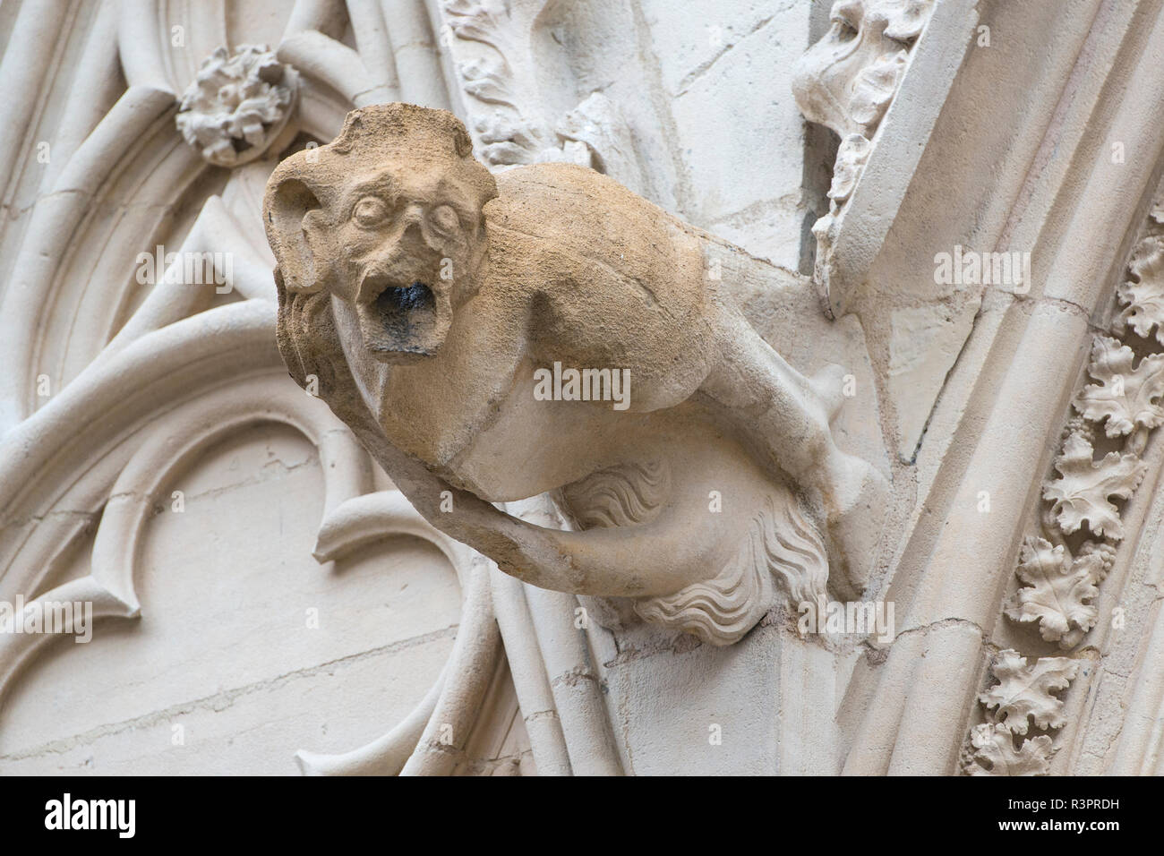 Gargoyle, Saint Jean le Baptiste, la cathédrale de Lyon, France Banque D'Images Gargoyle, Saint Jean le Baptiste, la cathédrale de Lyon, France Banque D'Images