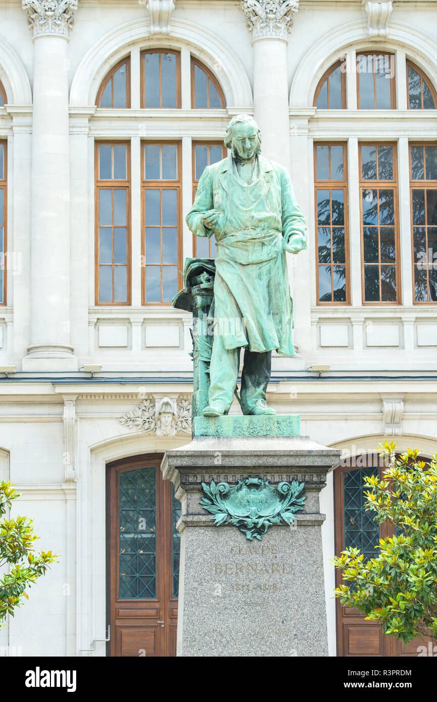 Statue en bronze de Claude Bernard, Lyon, France Photo Stock Alamy