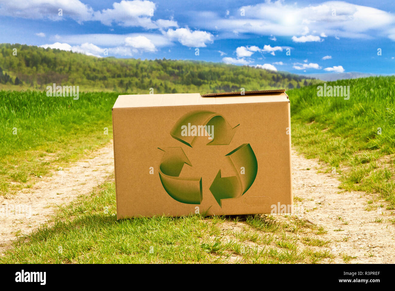 Recyclage du carton dans la nature avec sign Photo Stock - Alamy