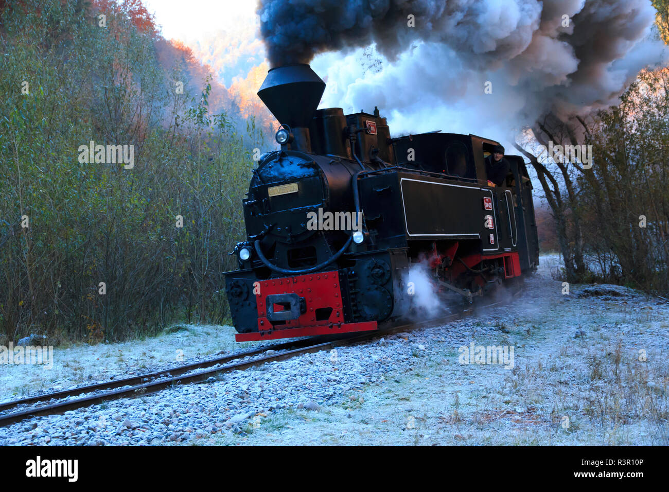 Roumanie, Viseu de Sus. Carpathian Forest train à vapeur. Chemin de fer de la vallée de Vaser. Feu de bois, locomotive à vapeur. Chemin de fer à voie étroite. Lancé en 1932. Banque D'Images