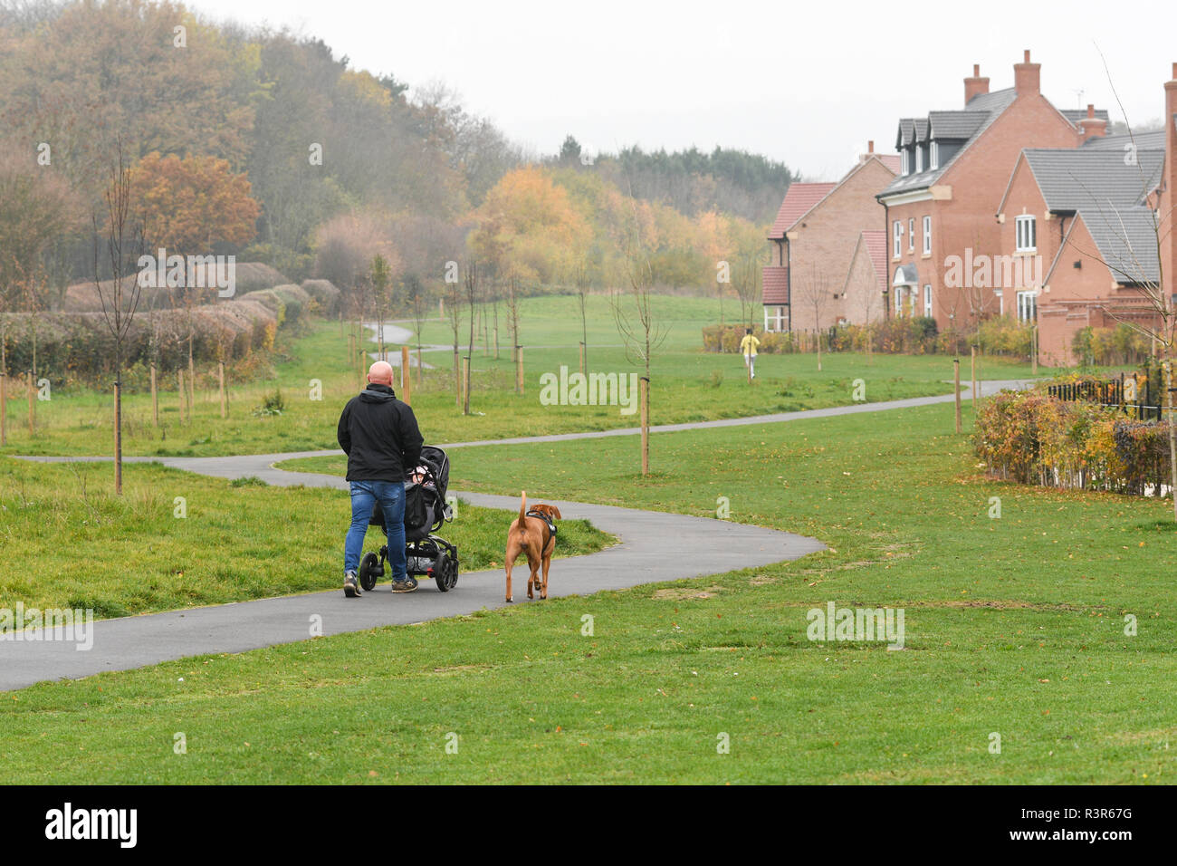Homme marchant un chien Banque D'Images