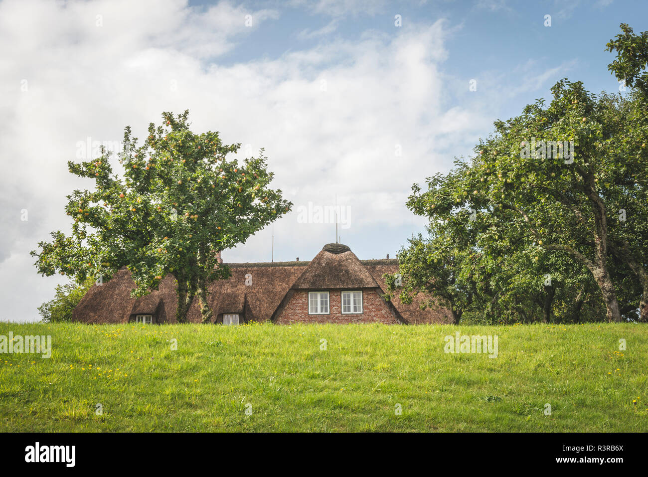 Allemagne, Schleswig-Holstein, Sylt, Keitum, maison au toit de chaume derrière digue Banque D'Images