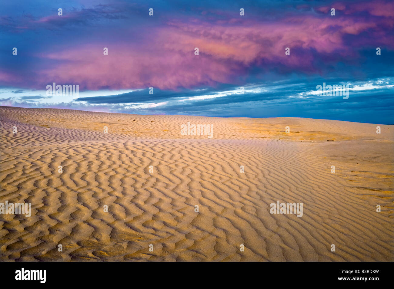 Canada, Saskatchewan, Great Sand Hills. Les ondulations des dunes de sable et les nuages au coucher du soleil. Banque D'Images