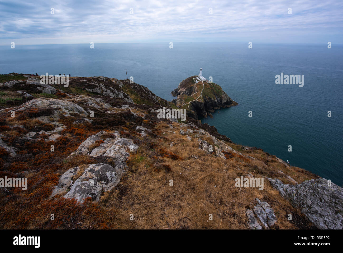 Phare de South Stack, Holy Island, Anglesey, au nord du Pays de Galles, Royaume-Uni. Banque D'Images