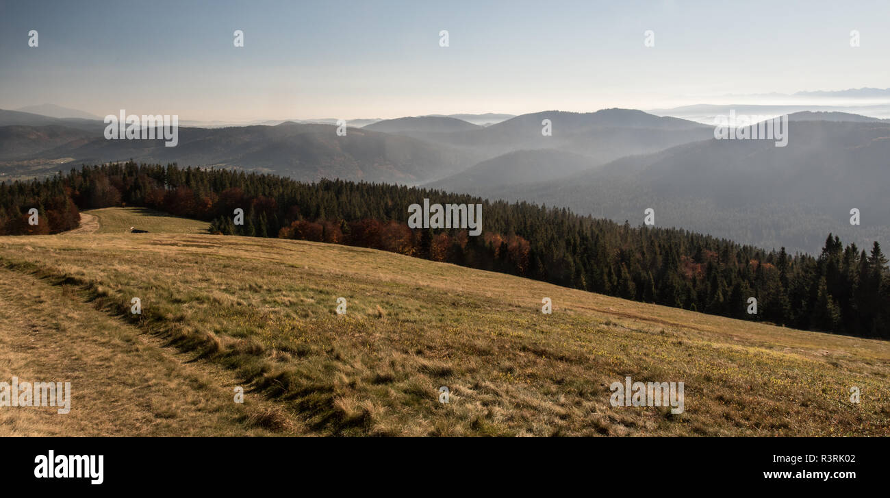 Hala Rycerzowa mountain meadow avec sentier de randonnée, arbres et collines colorées on polish - frontières slovaques autour de Beskid Zywiecki montagnes en Pologne Banque D'Images