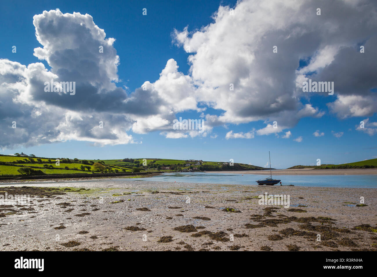 L'Irlande, dans le comté de Cork, anneau, la baie de Clonakilty Banque D'Images