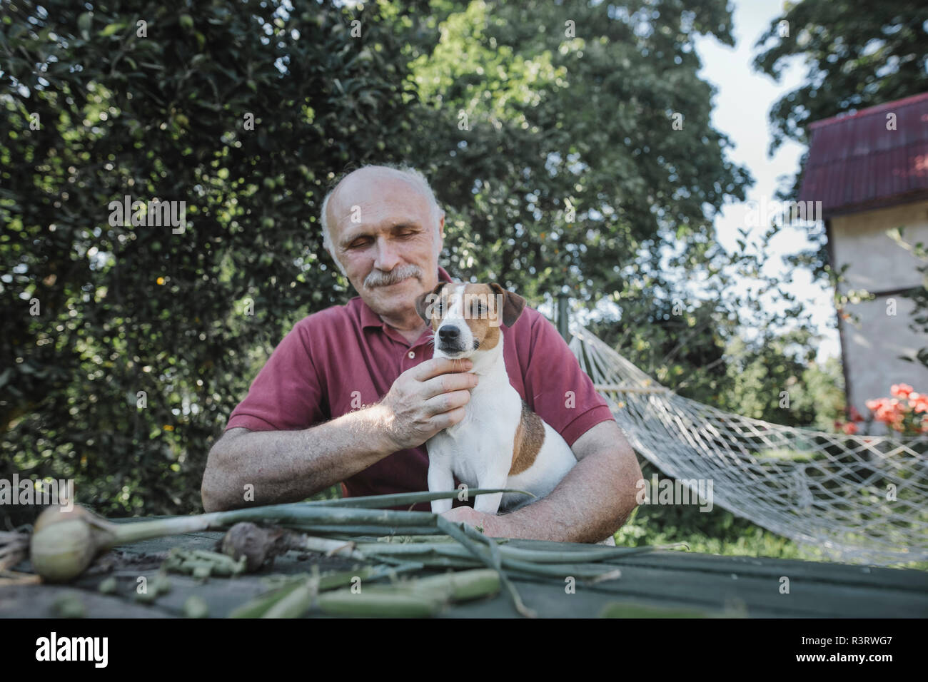Senior avec chien à la table de jardin Banque D'Images