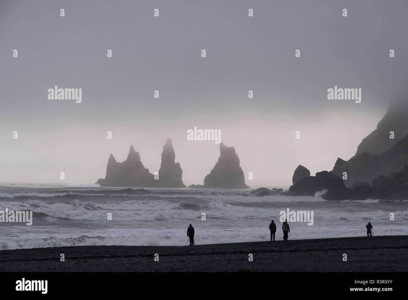 Halsanefshellir Reynisfjara qui jouit, Islande,. Les gens sur la plage. Banque D'Images