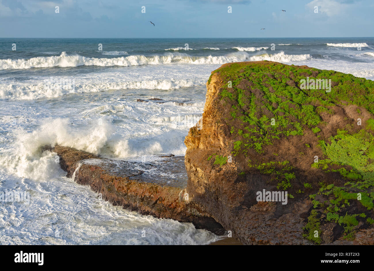 Le Comté de San Mateo, Californie, la côte de l'océan Pacifique, surf, des falaises Banque D'Images