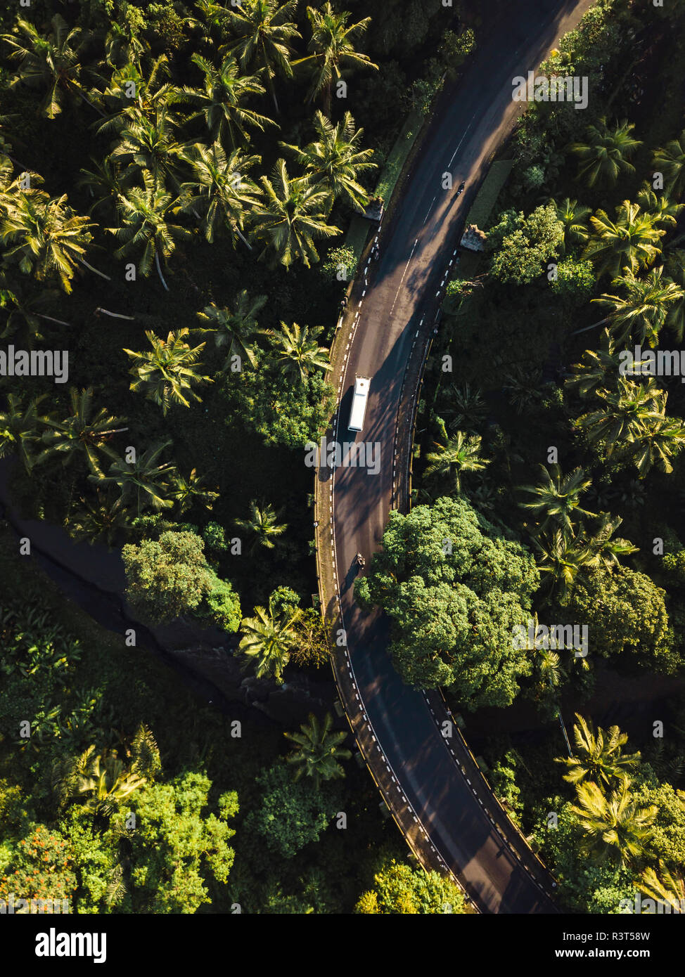 L'INDONÉSIE, Bali, Ubud, vue aérienne de champs de riz Banque D'Images