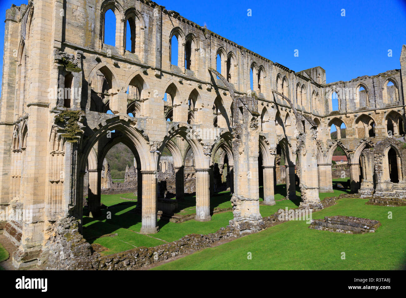 L'Angleterre, Yorkshire du Nord, Rievaulx. 13e siècle ruines cisterciennes de l'abbaye de Rievaulx. L'English Heritage et National Trust Site. Proximité Rivière seigle. Banque D'Images