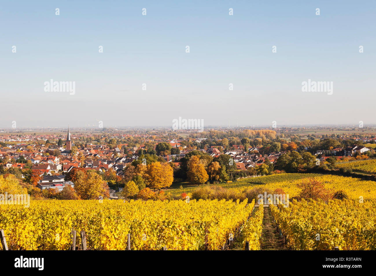 Allemagne Rhenanie Palatinat Pfalz Deidesheim Route Allemande Du Vin Des Vignes En Couleurs De L Automne Ludwigshafen A Distance Photo Stock Alamy