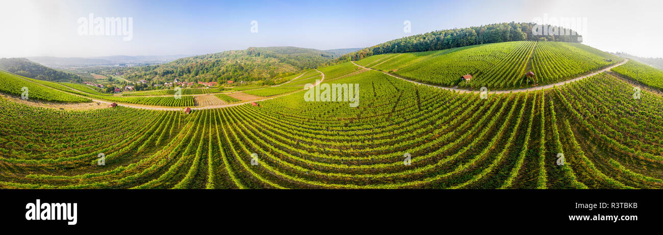 Allemagne, Bade-Wurtemberg, vue aérienne du vignoble à Gundelsbach Valley Banque D'Images