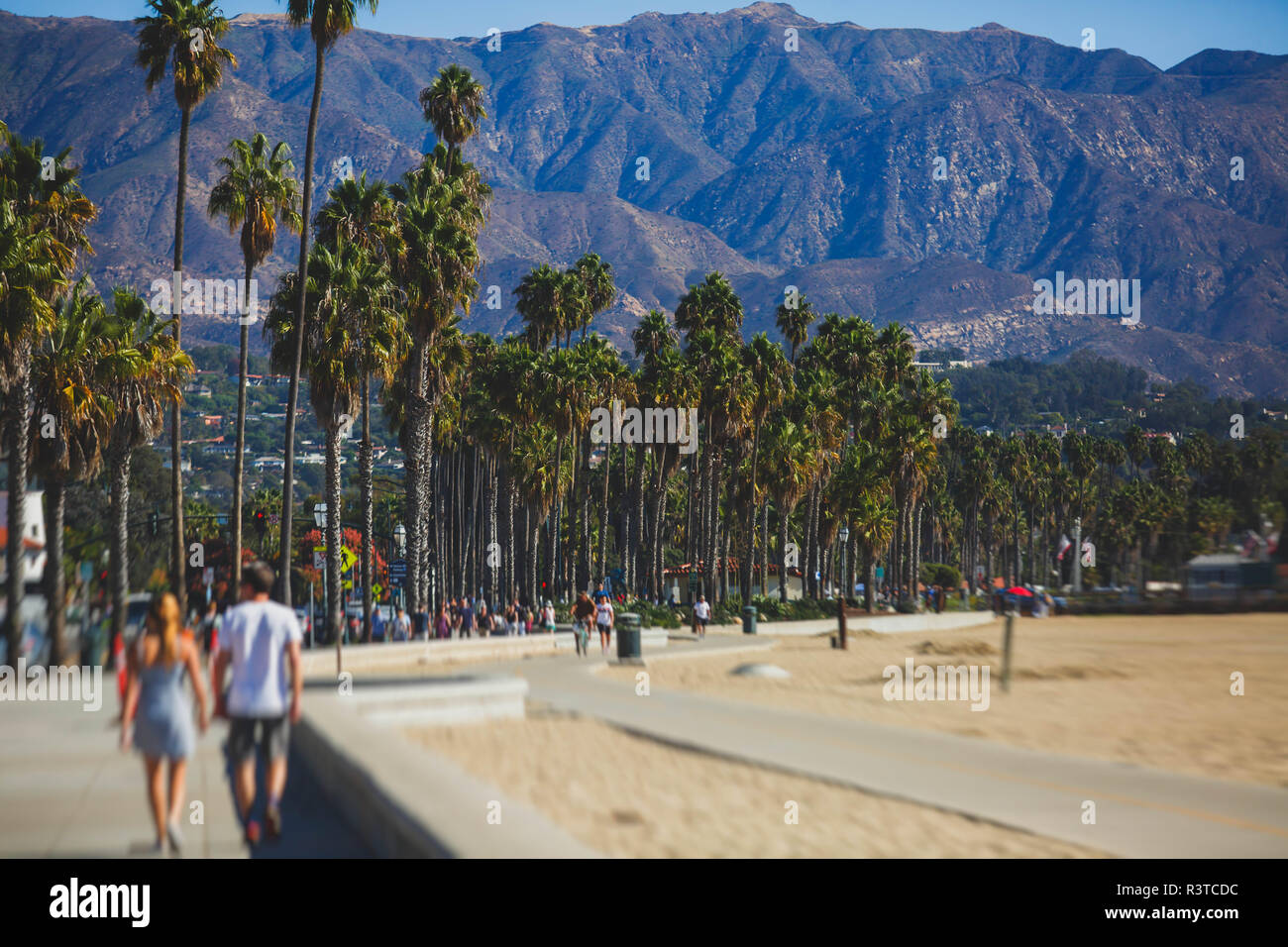 Belle vue de Santa Barbara, à pied en front de mer avec plage et port de plaisance, de palmiers et de montagnes, montagnes de Santa Ynez et Océan Pacifique, Santa Barbara co Banque D'Images