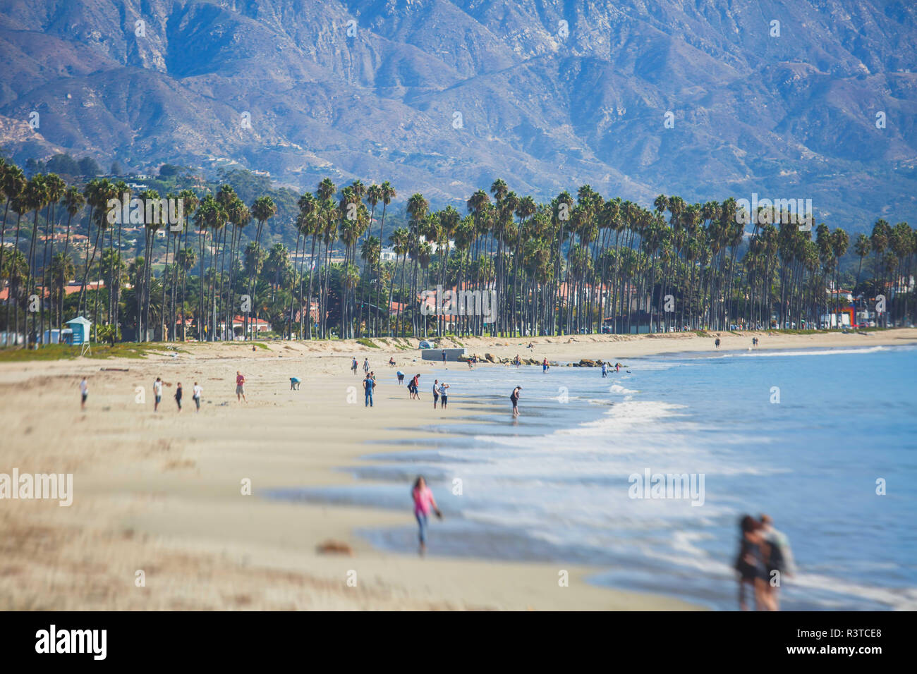 Belle vue de Santa Barbara, à pied en front de mer avec plage et port de plaisance, de palmiers et de montagnes, montagnes de Santa Ynez et Océan Pacifique, Santa Barbara co Banque D'Images