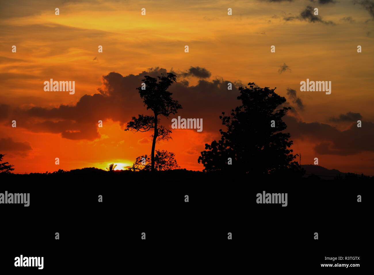 Tavolo Da Barbecue In Acciaio Inox GFTIME Con 3 Ripiani E Ruote - Per Esterno - Foto 7