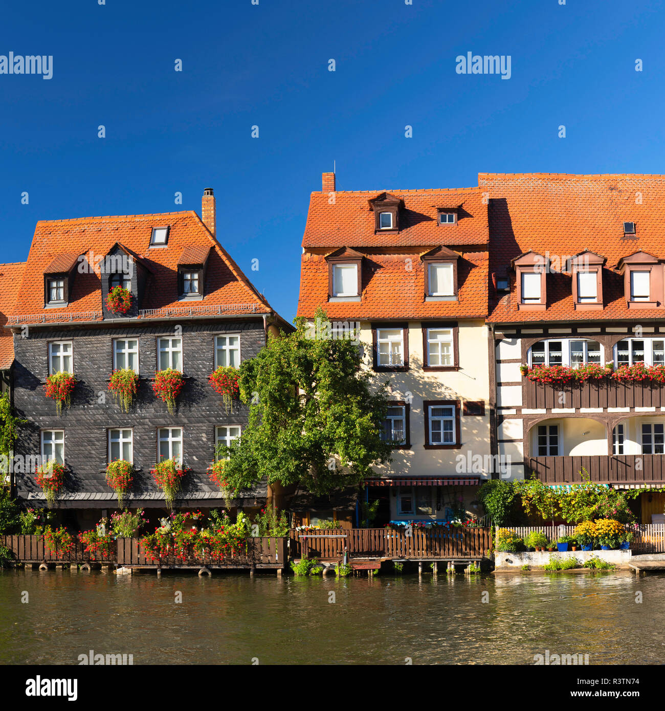 Maisons de Klein Venedig (Petite Venise) le long de la rivière Regnitz, Bamberg (Site du patrimoine mondial de l'UNESCO), Bavière, Allemagne Banque D'Images