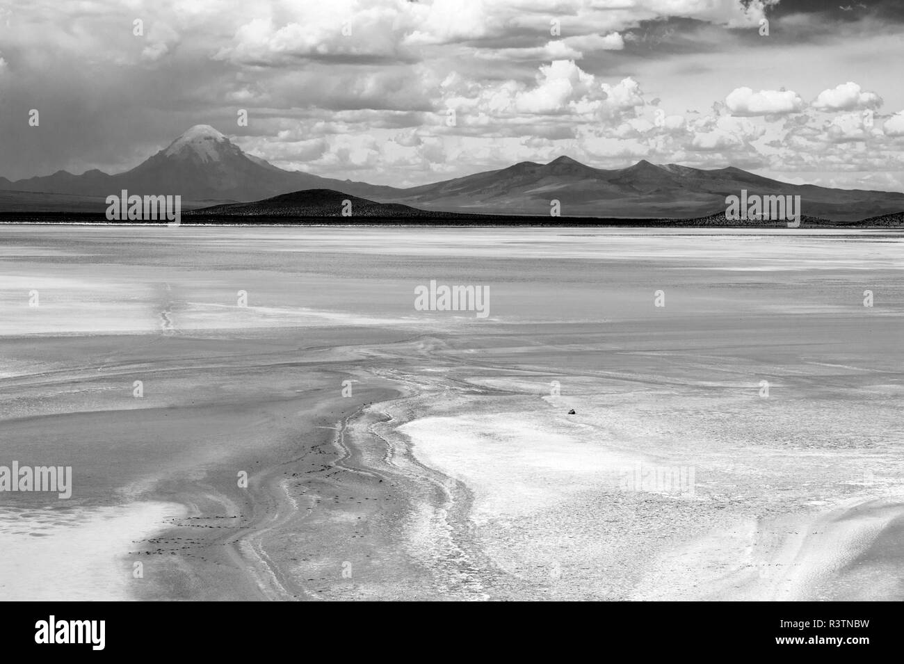Paysage avec le lac et la montagne volcan Sajama en arrière-plan, Macaya, Bolivie Banque D'Images