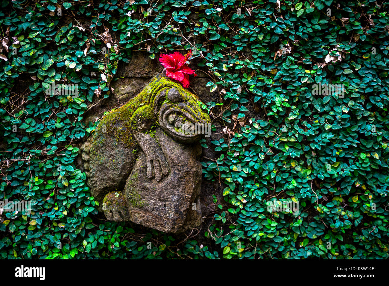 Grenouille en pierre sur un mur avec du feuillage vert à Bali. Banque D'Images