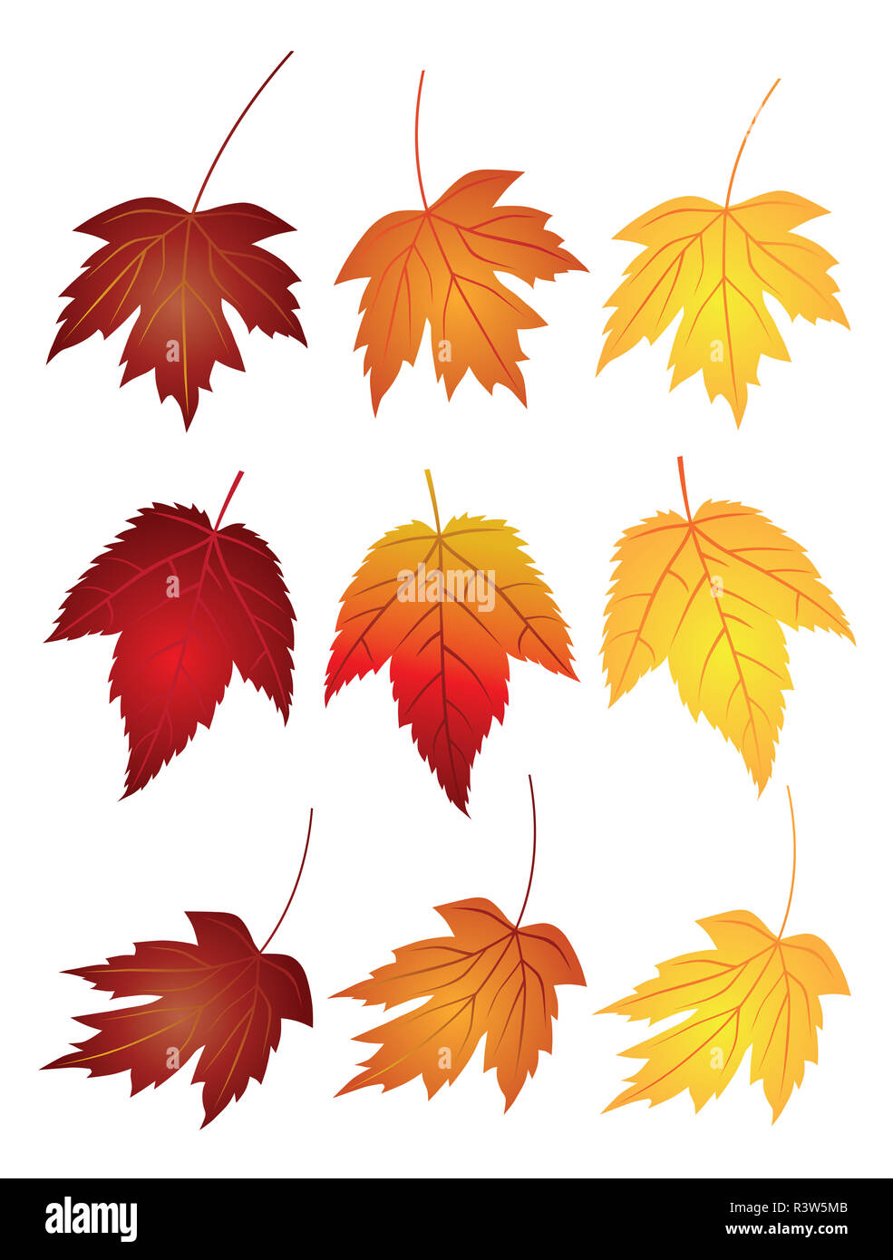 Feuilles d'érable d'illustration en couleurs d'automne Banque D'Images