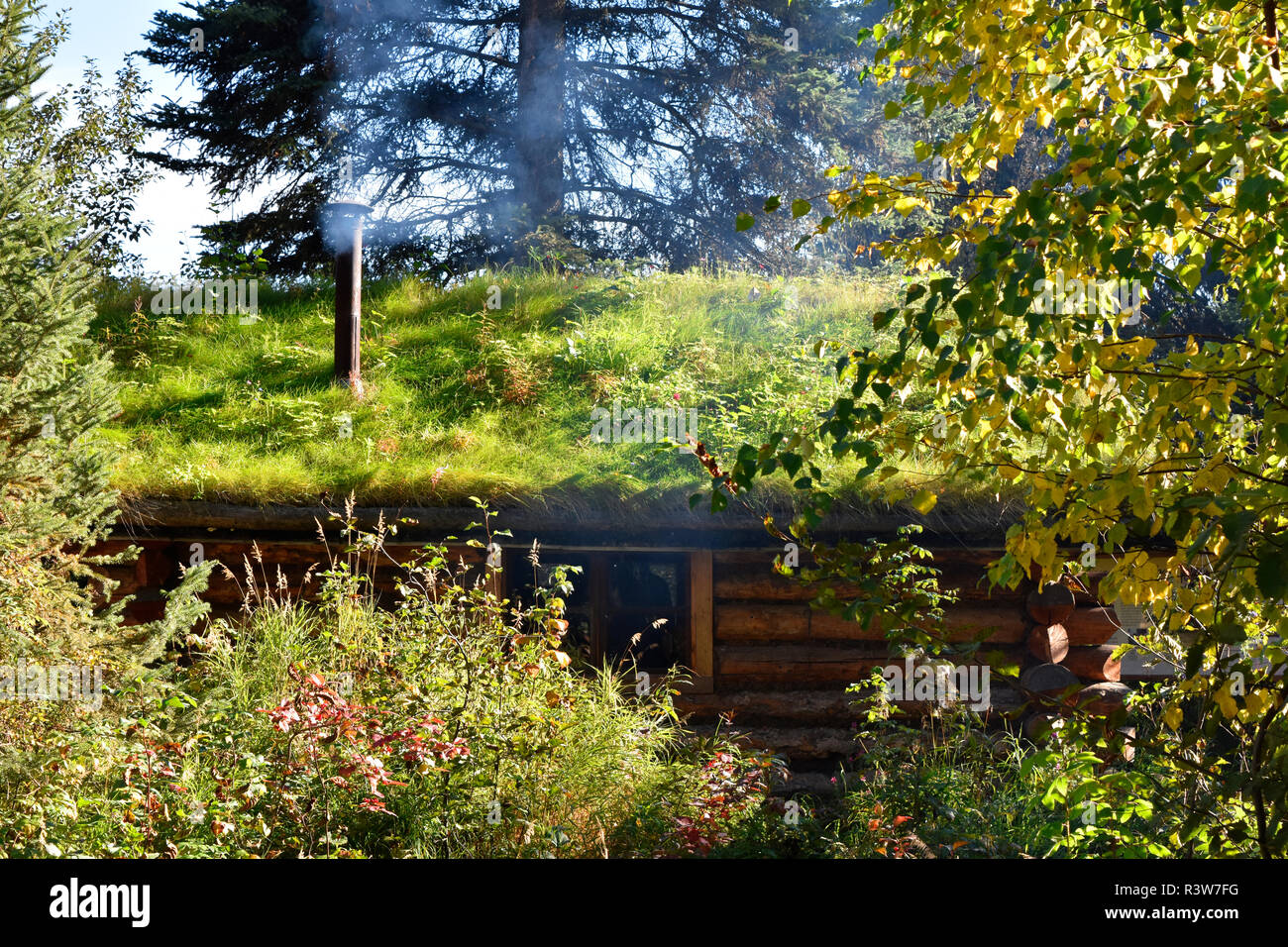 USA, Alaska, Fairbanks. Village indien Chena, log cabin. Banque D'Images