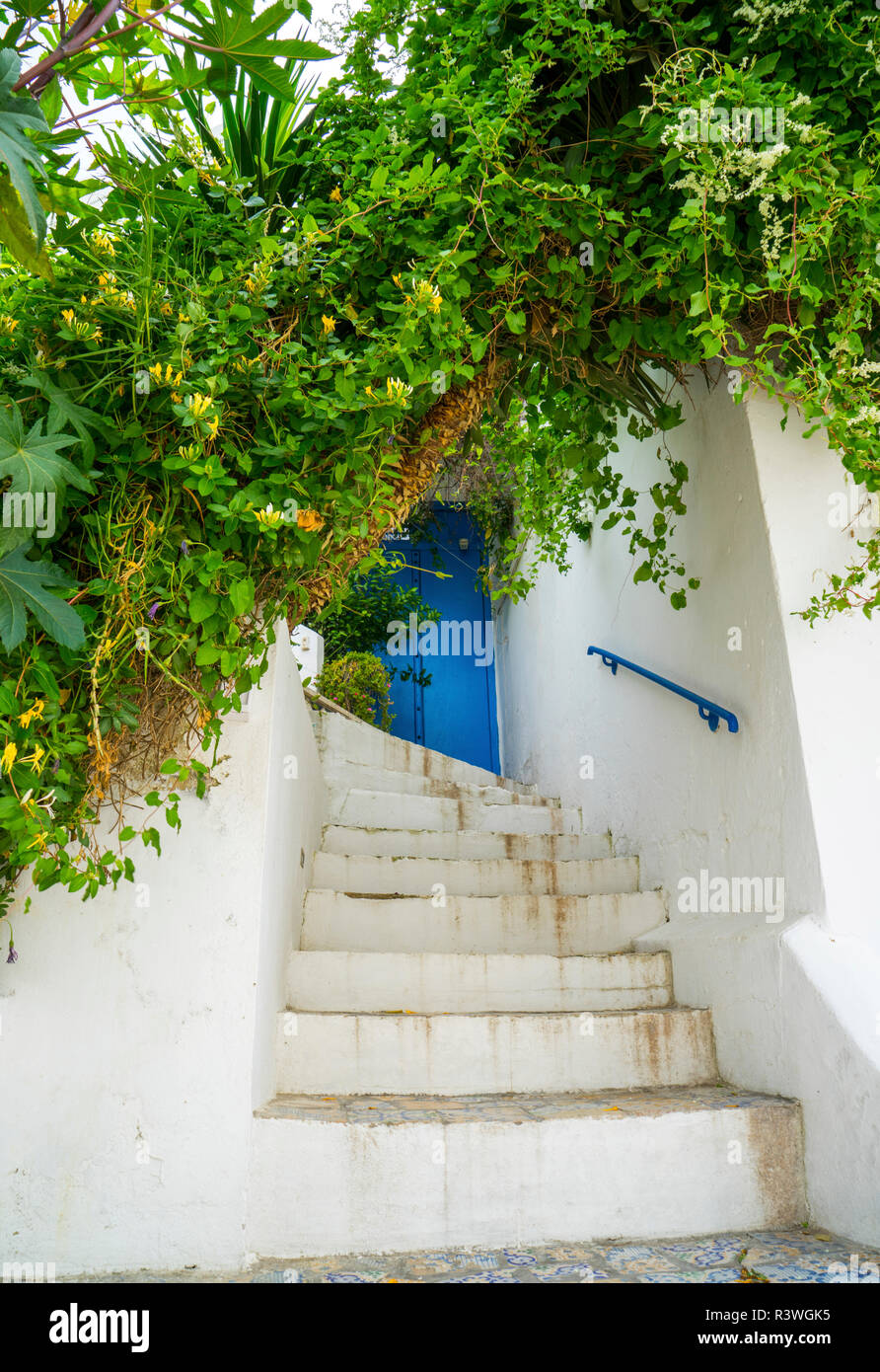 De porte bleue dans le style andalou de Sidi Bou Said en Tunisie Banque D'Images