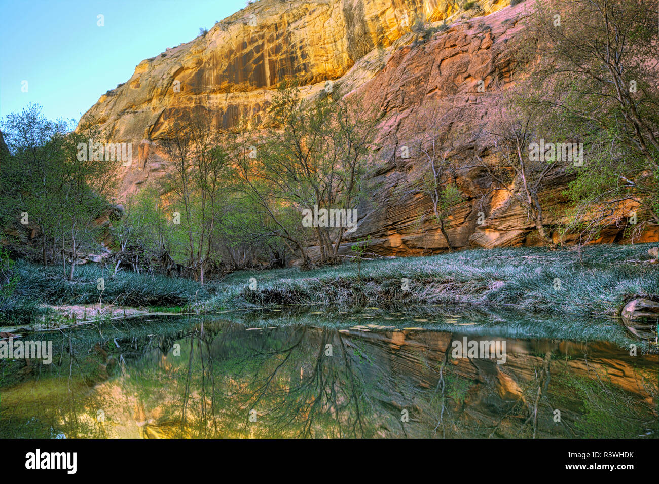 USA, Arizona, Aravaipa Canyon Wilderness Banque D'Images