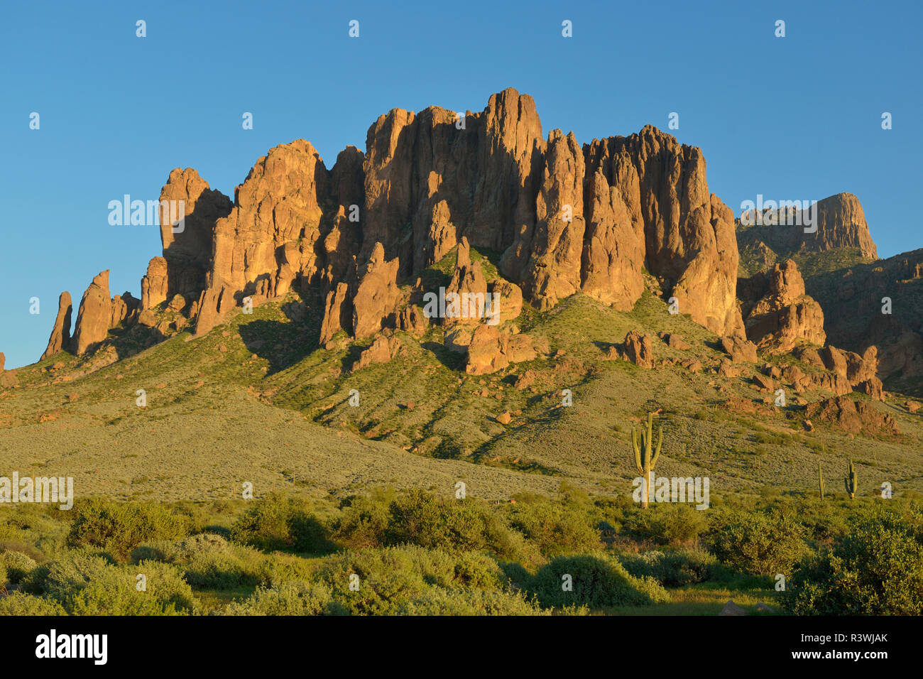 USA, Arizona, Lost Dutchman State Park. Vue en regardant les montagnes de la superstition Banque D'Images