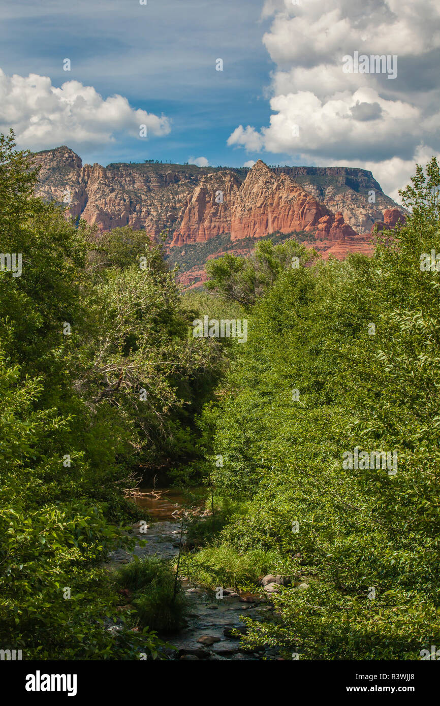 USA, Arizona, Sedona, Oak Creek Canyon. Creek et Mogollon Rim Banque D'Images