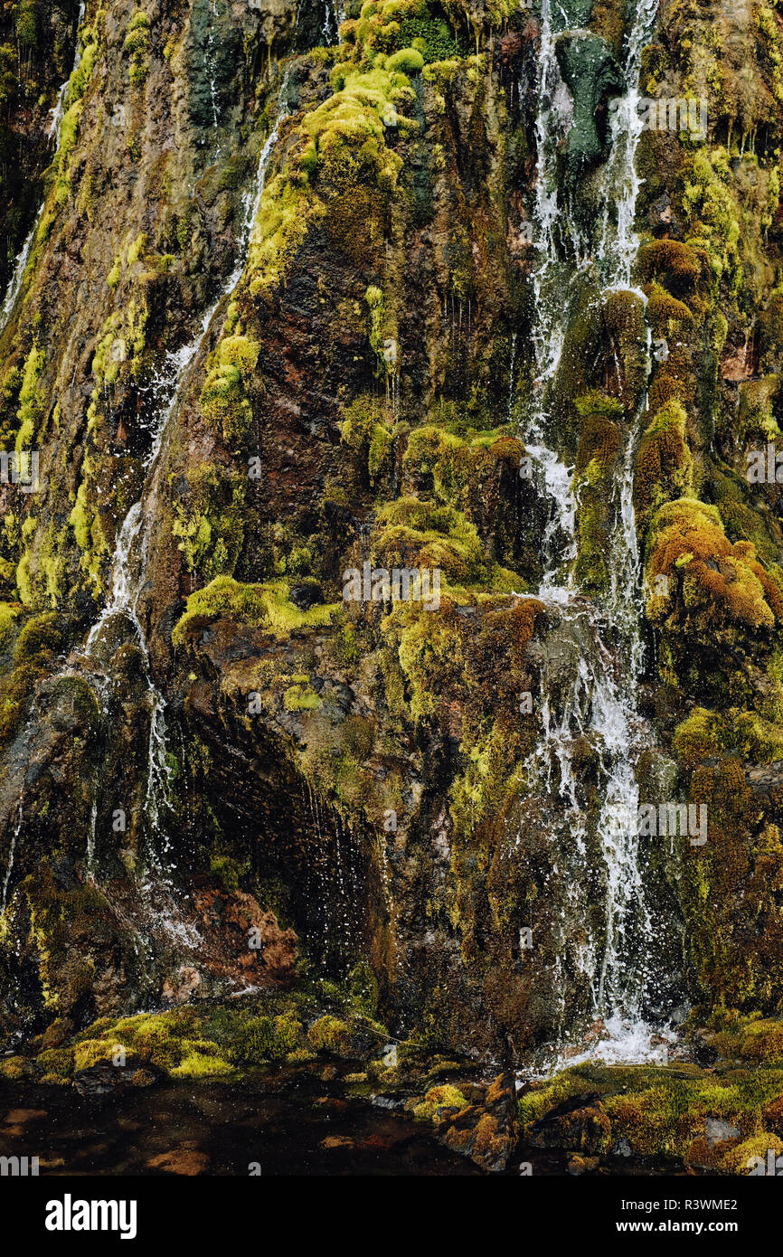 Des roches couvertes de mousses et les ruisseaux dans le paysage de l'Islande. Banque D'Images