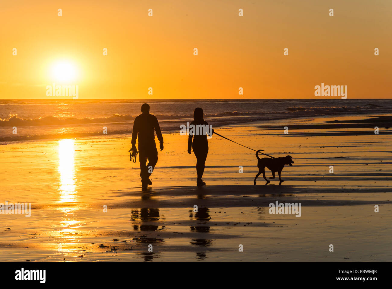 États-unis, Californie, Carpinteria. Chenal de Santa Barbara, de la plage à un 'Roi' Marée marée basse Banque D'Images