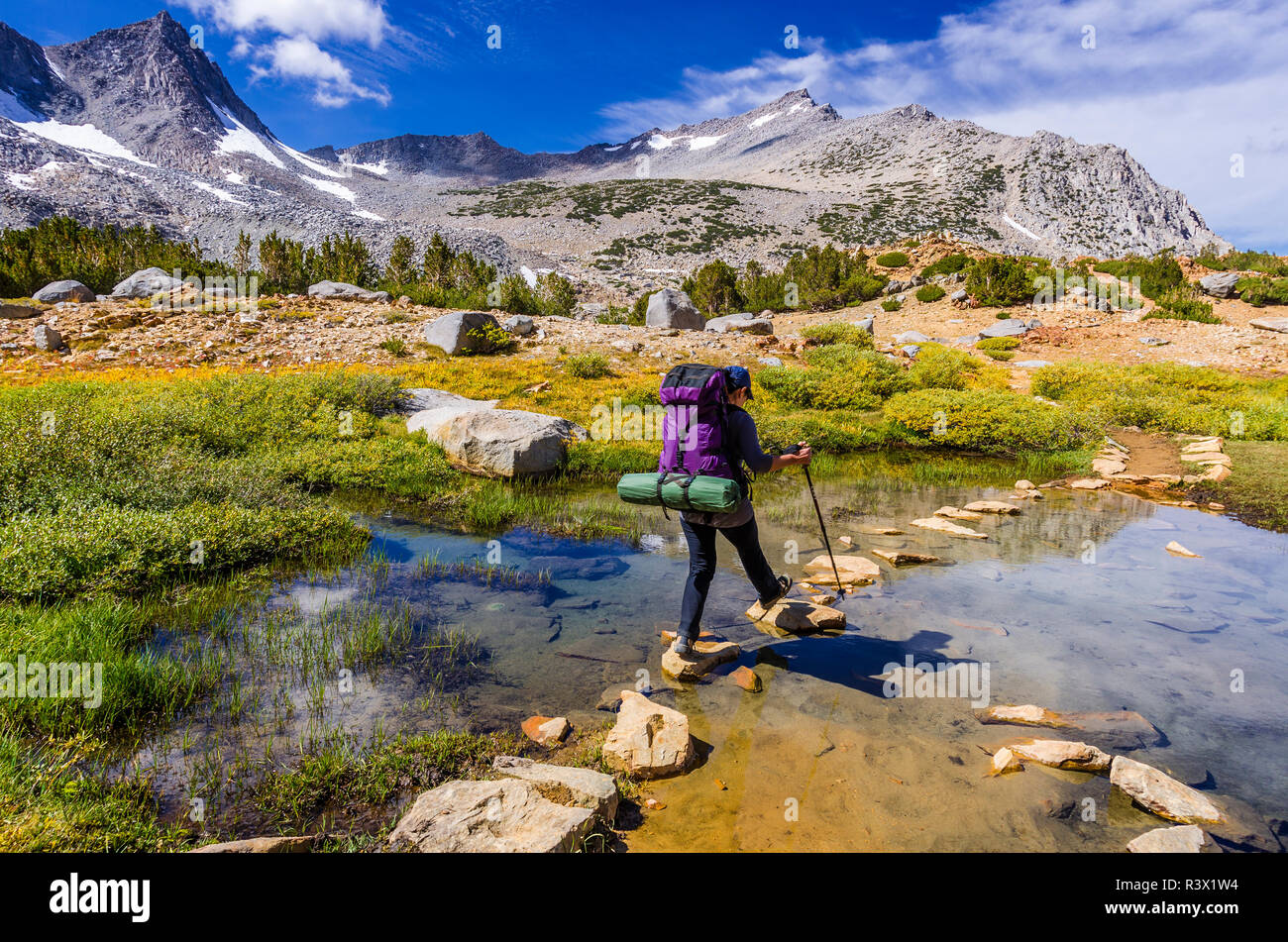 Backpacker sur le sentier du col de l'évêque, John Muir Wilderness, la Sierra Nevada, en Californie, USA (MR) Banque D'Images