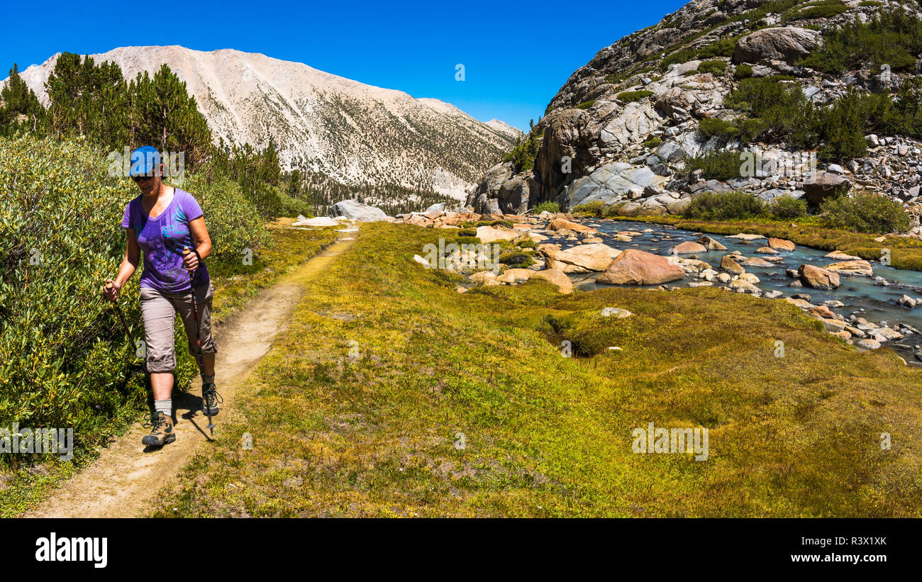 Randonneur dans le cadre du Prairie Mack Sam palissades, John Muir Wilderness, Californie, USA (MR) Banque D'Images