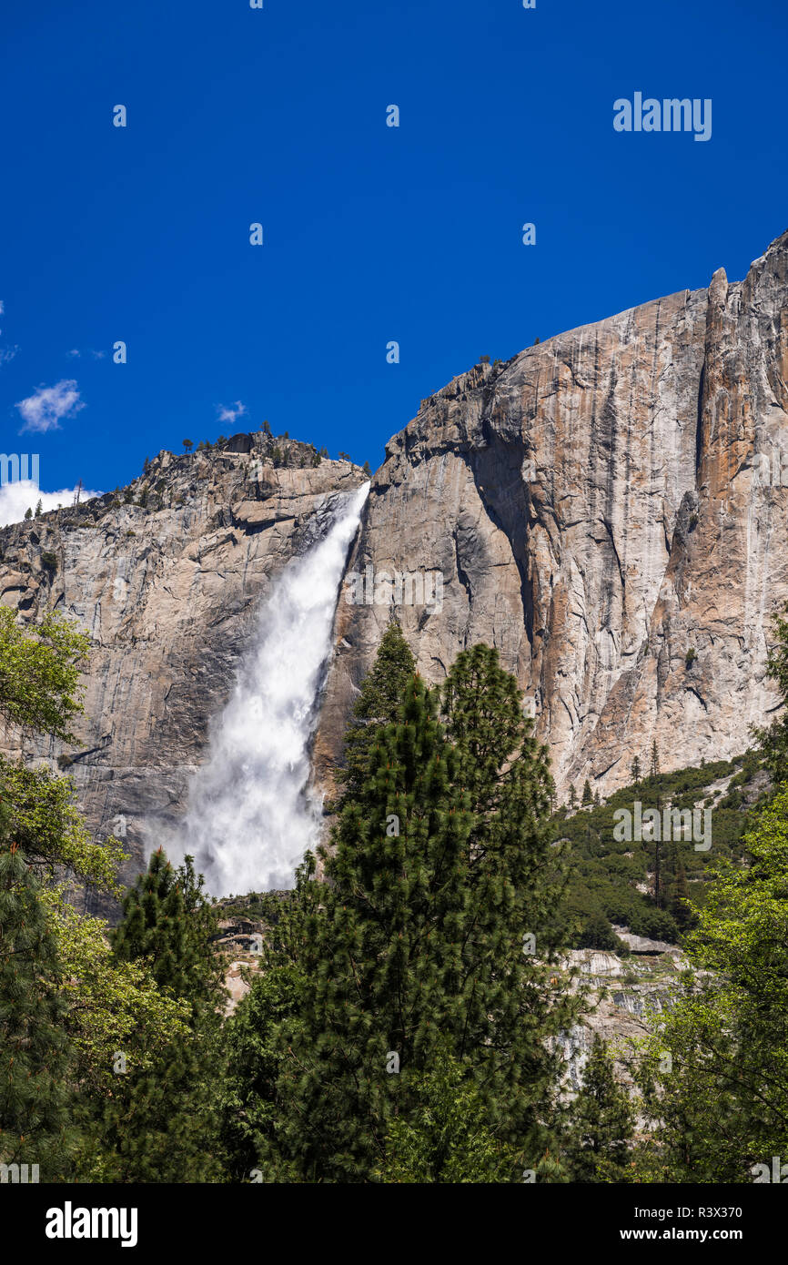 Yosemite Falls, Yosemite National Park, California, USA Banque D'Images